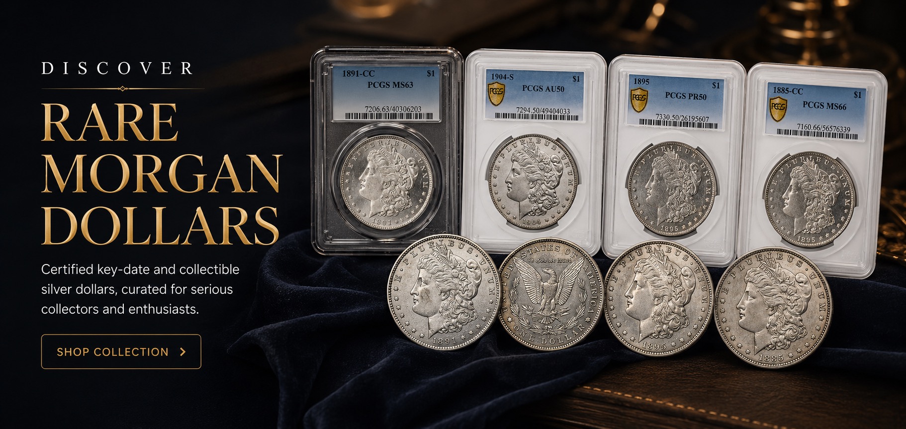 Discover Rare Coins — Certified Morgan & Peace Dollars